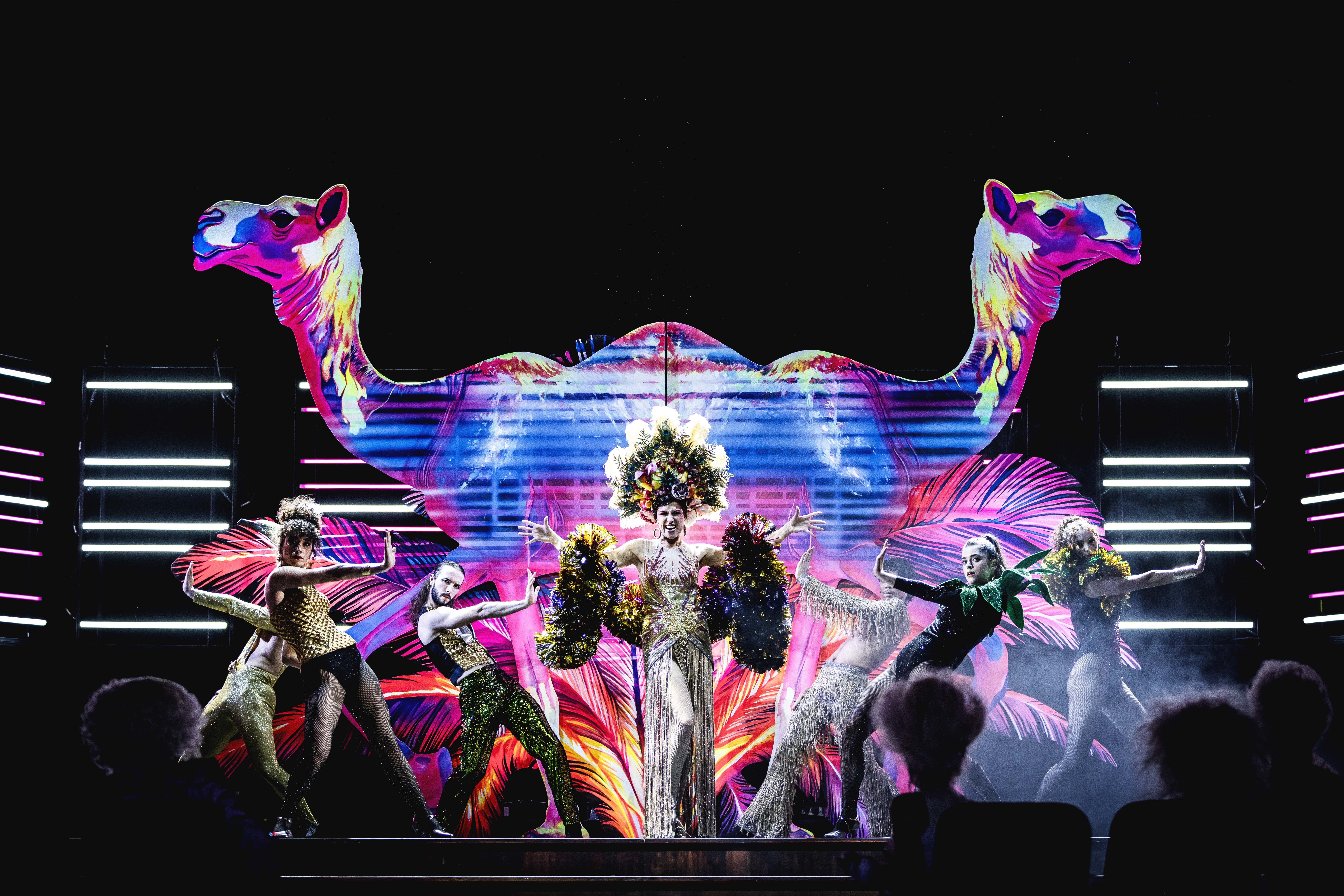 Opera Season Highlights 2025-26