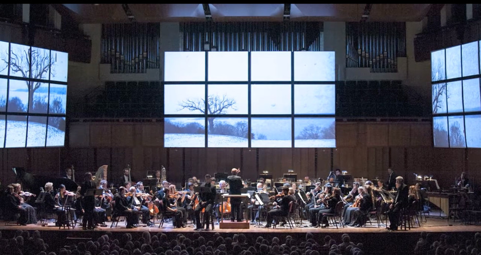 performance of george WASHINGTON